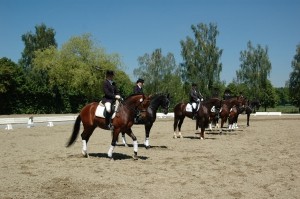 TurnierDressur
