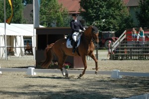 Turnier Dressur196